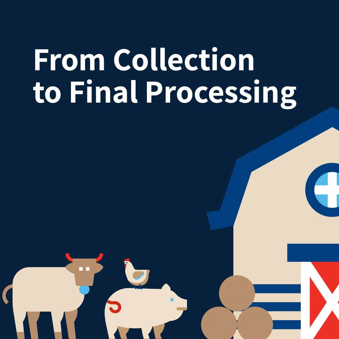 Curious to find out how are raw materials recovered at Sanimax? Here’s how!
