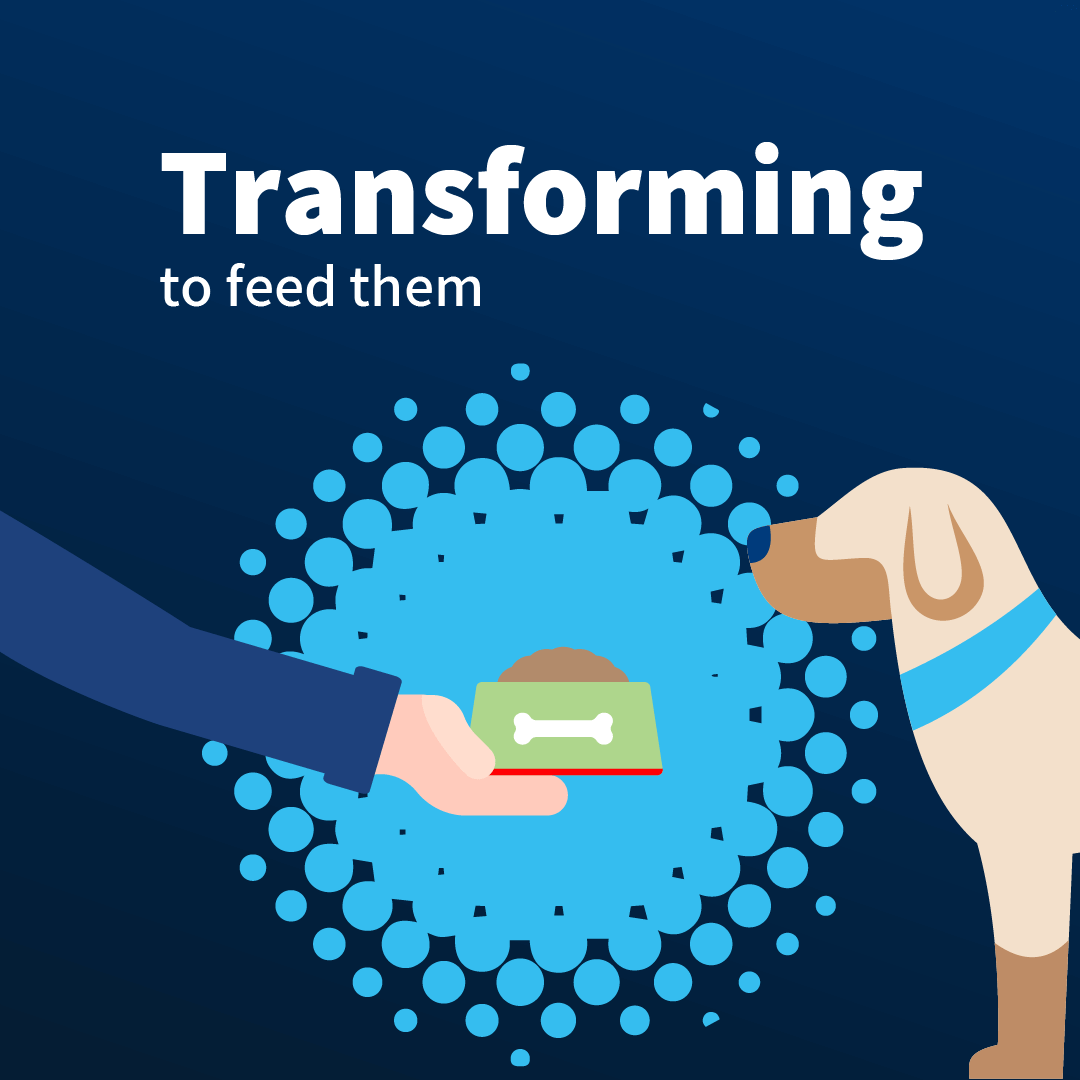 An exceptional variety of premium ingredients for pet food